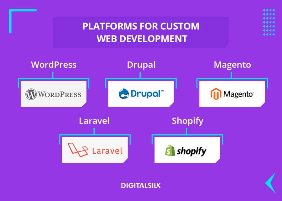 custom illustration to depict platforms used for custom web solutions