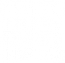 LIG Solutions logo